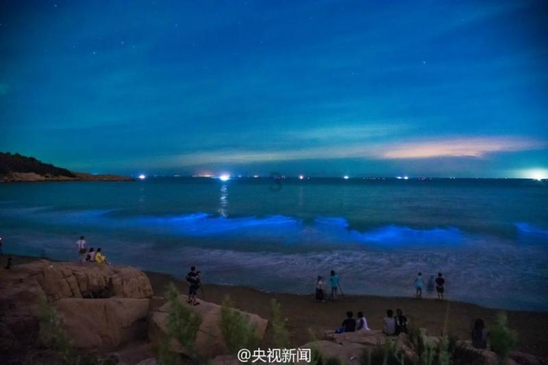 球球大作战下载最新版
