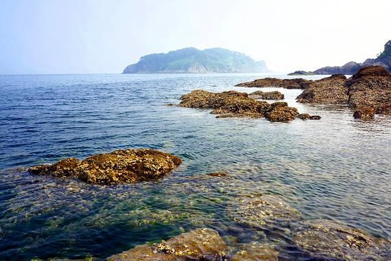 吃水果的蛇