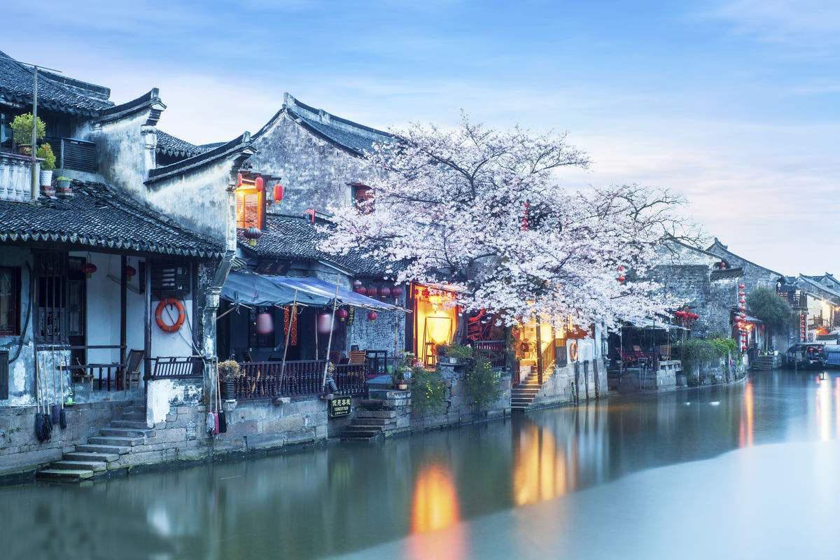 全慧珍首度露面,面容憔悴目光迟钝,儿子手捧遗像眼中含泪